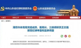 潍坊爆料最新消息新闻,突发事件引发社会关注