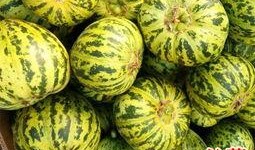 甜瓜最新大爆料下载