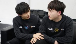 爆料狼队训练视频大全最新